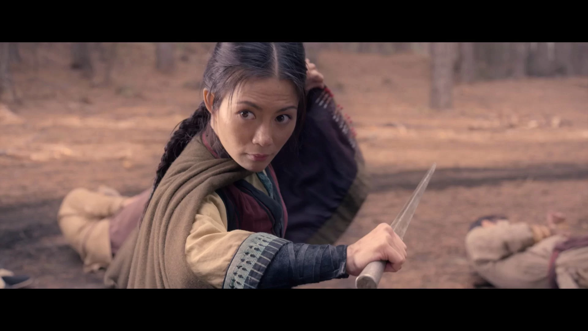 02 - CrouchingTiger2016-1080p VIE - BlurayREMUX AVC TrueHD51-ADT.mkv_snapshot_00.26.55.114.webp