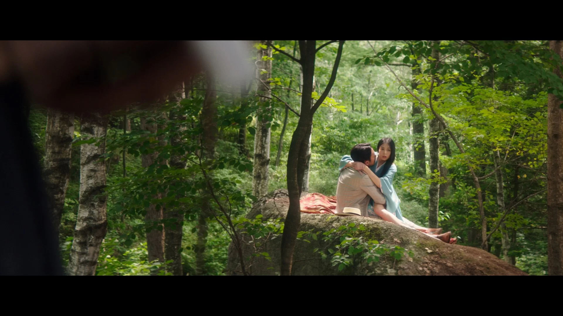 03 - PDV - The Handmaiden 2016 Extended 1080p Blu-ray Remux AVC DTS-HDMA.5.1- NguoiHauGai.mkv...webp