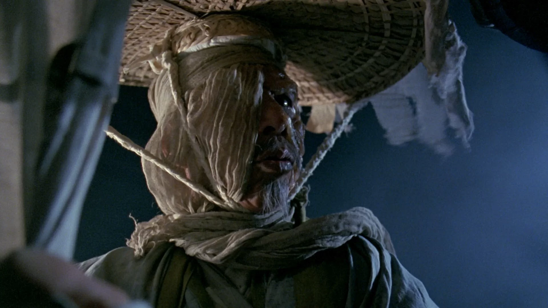 03 - Swordsman 1992 1080p BluRay REMUX AVC TrueHD 5.1-TVS.mkv_snapshot_00.50.29.042.webp