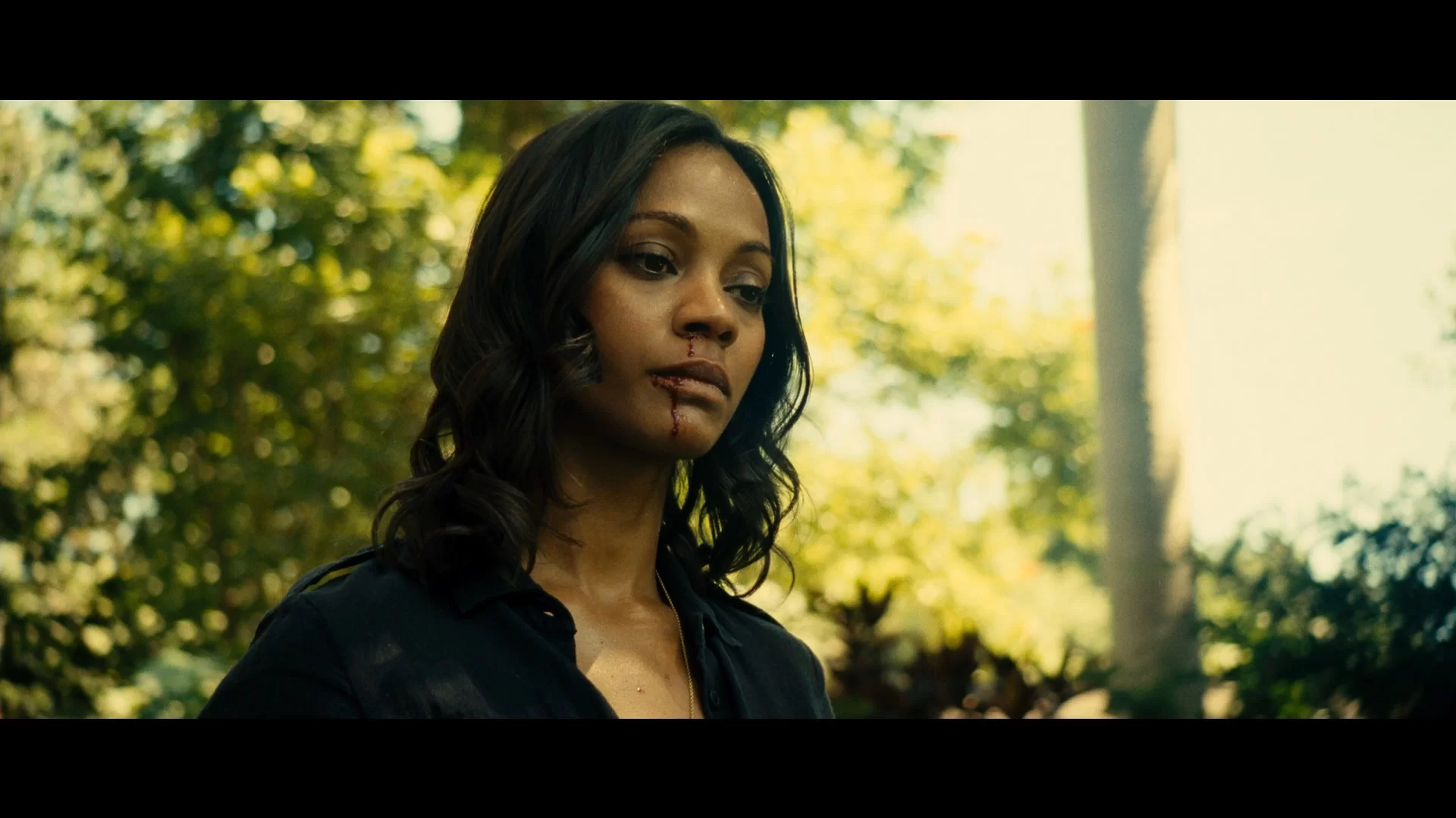 04 - Colombiana 2011 1080p VIE - UNRATED BluRay REMUX AVC DTS-HD MA 5.1 - ADT.mkv_snapshot_01...webp