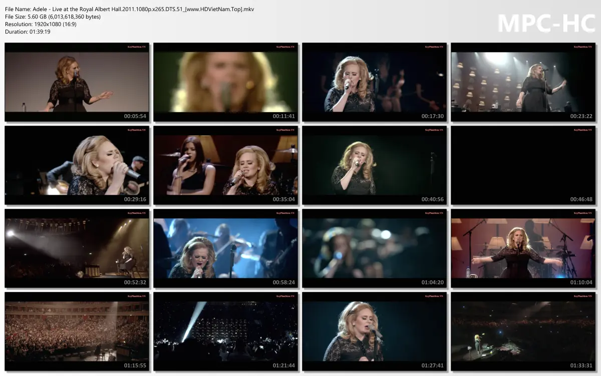 Adele - Live at the Royal Albert Hall.2011.1080p.x265.DTS.51_[www.HDVietNam.Top].mkv_thumbs.webp