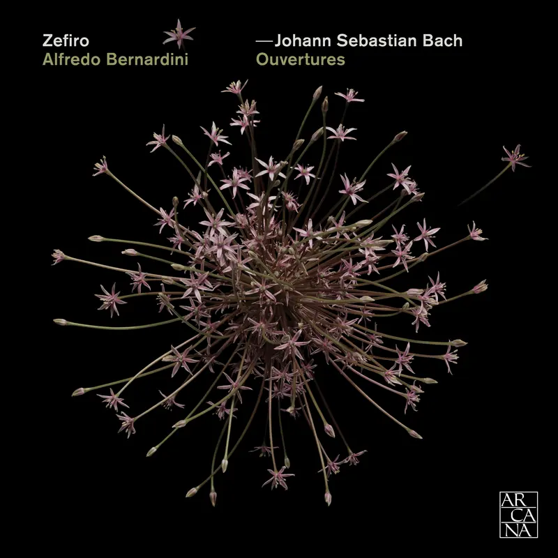 Bach - Ouvertures - Zefiro, Bernardini - FLAC .webp