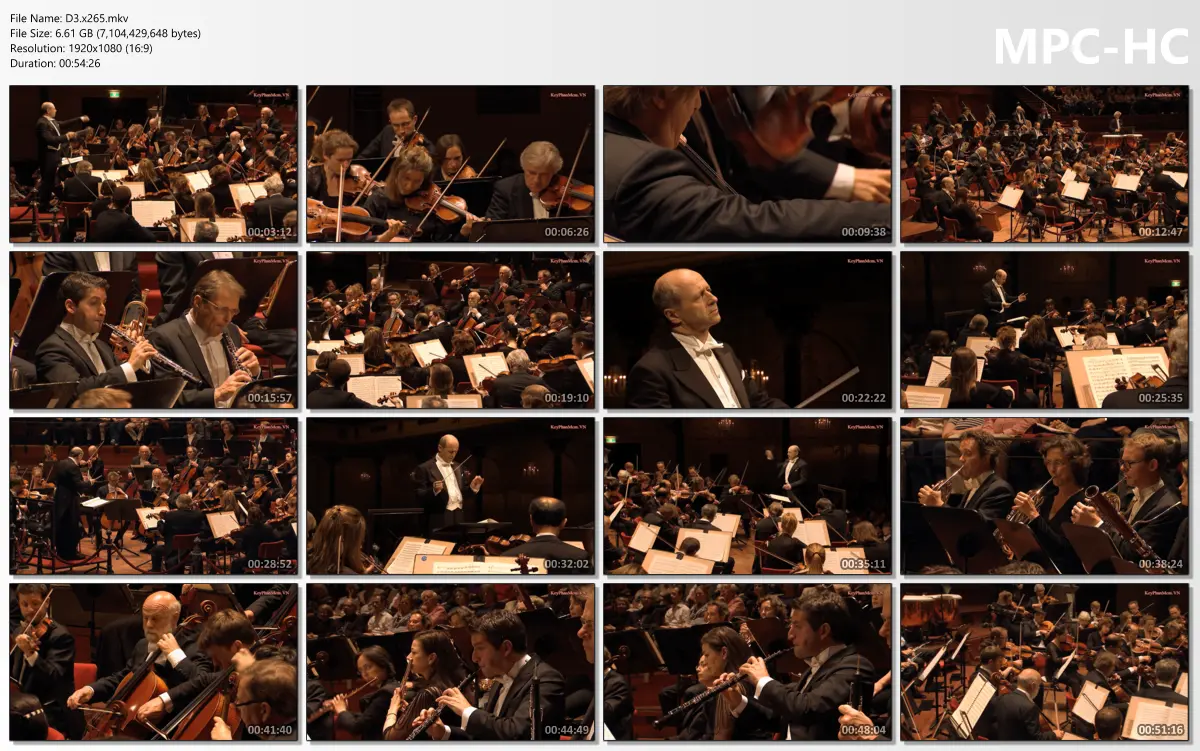 Beethoven - Symphonies Nos. 1-9 1080p x265 DTS-HD 5.1.webp