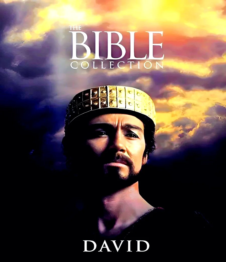 david-1997-1080p-x265-dts-webp.1781