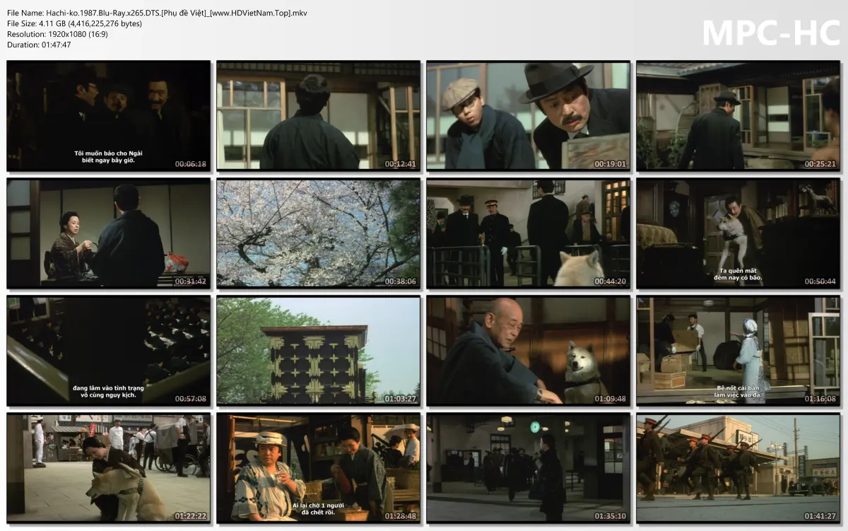 Hachiko.1987.Blu-Ray.x265.DTS.[Phụ đề Việt]_[www.HDVietNam.Top].webp