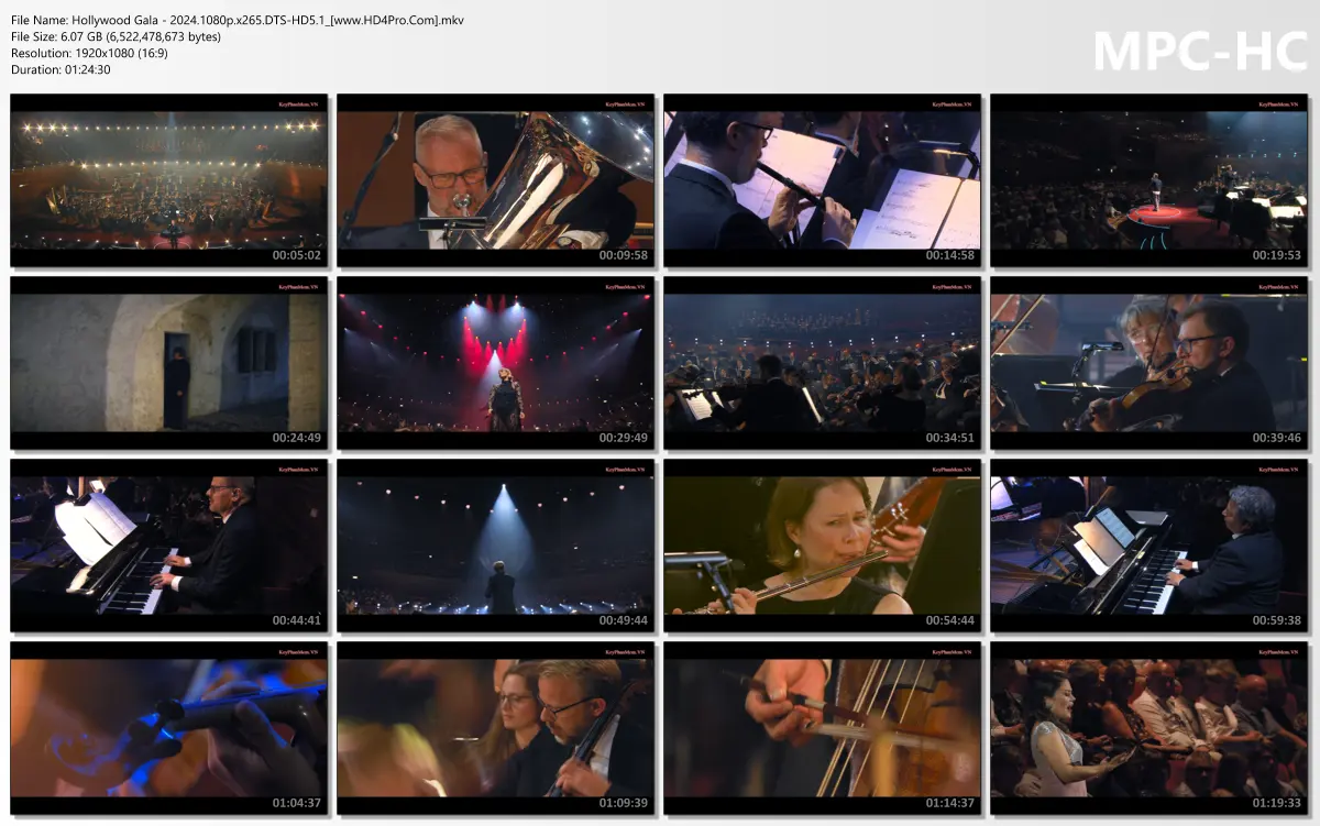 Hollywood Gala - 2024.1080p.x265.DTS-HD5.1_[www.HD4Pro.Com].mkv_thumbs.webp