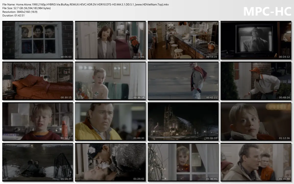 Home.Alone.1990.2160p.HYBRID.Vie.BluRay.REMUX.HEVC.HDR.DV.HDR10.DTS-HD.MA.5.1.DD.5.1_[www.HDV...webp