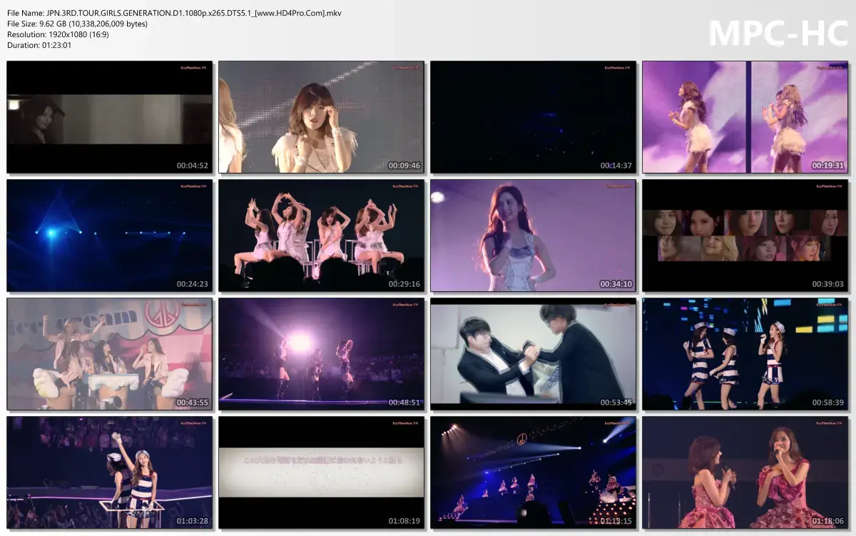 JPN.3RD.TOUR.GIRLS.GENERATION.D1.1080p.x265.DTS5.1_[www.HD4Pro.Com].mkv_thumbs.webp