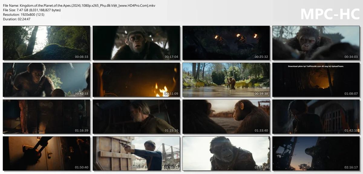 Kingdom.of.the.Planet.of.the.Apes.(2024).1080p.x265_Phụ.đề.Việt_[www.HD4Pro.Com].mkv_thumbs.webp