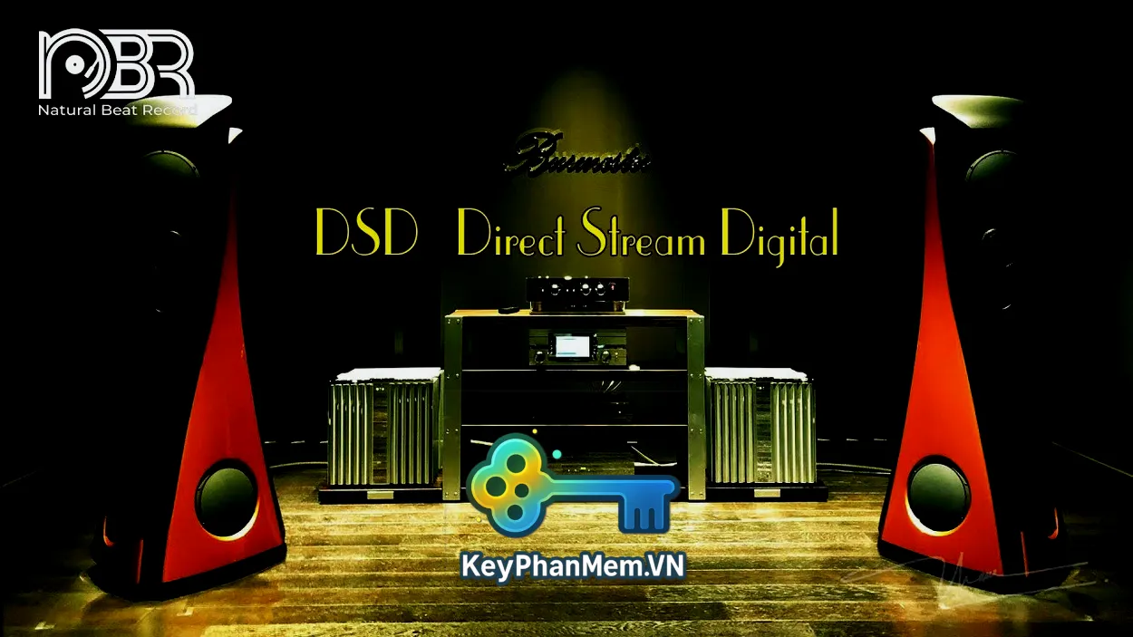 Nhac-DSD-La-Gi-KeyPhanMem.VN.webp