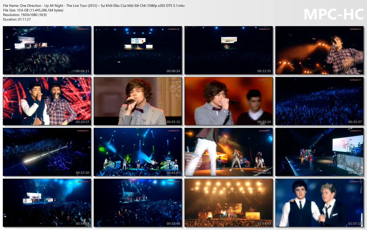 One Direction - Up All Night - The Live Tour (2012) – Sự Khởi Đầu Của Một Đế Chế 1080p x265 D...webp