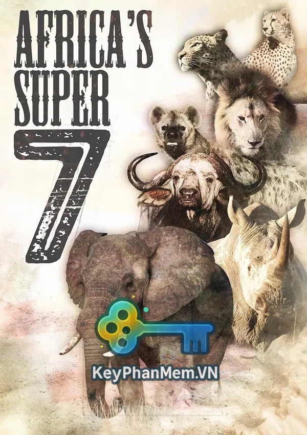 Phim-Africa's-Super-Seven-2008-1080p-ViE-KeyPhanMem.VN.webp