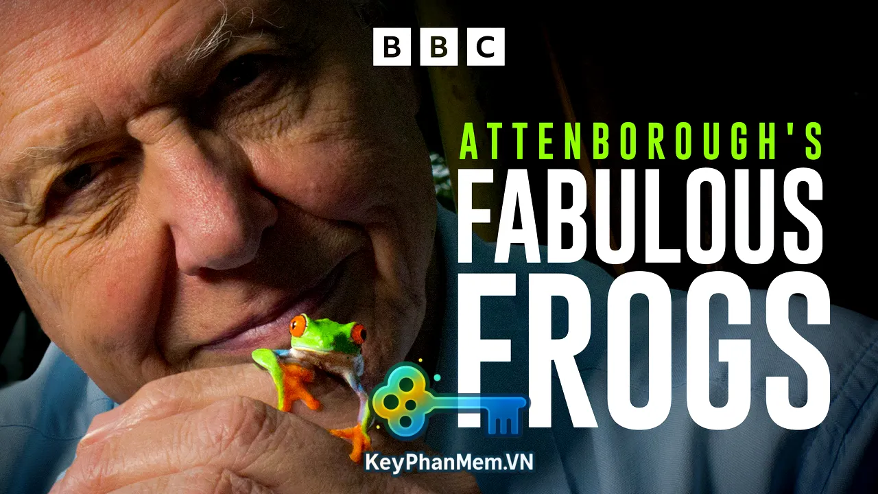 Phim-Attenborough's-Fabulous-Frogs-2014-1080p-ViE-KeyPhanMem.VN.webp