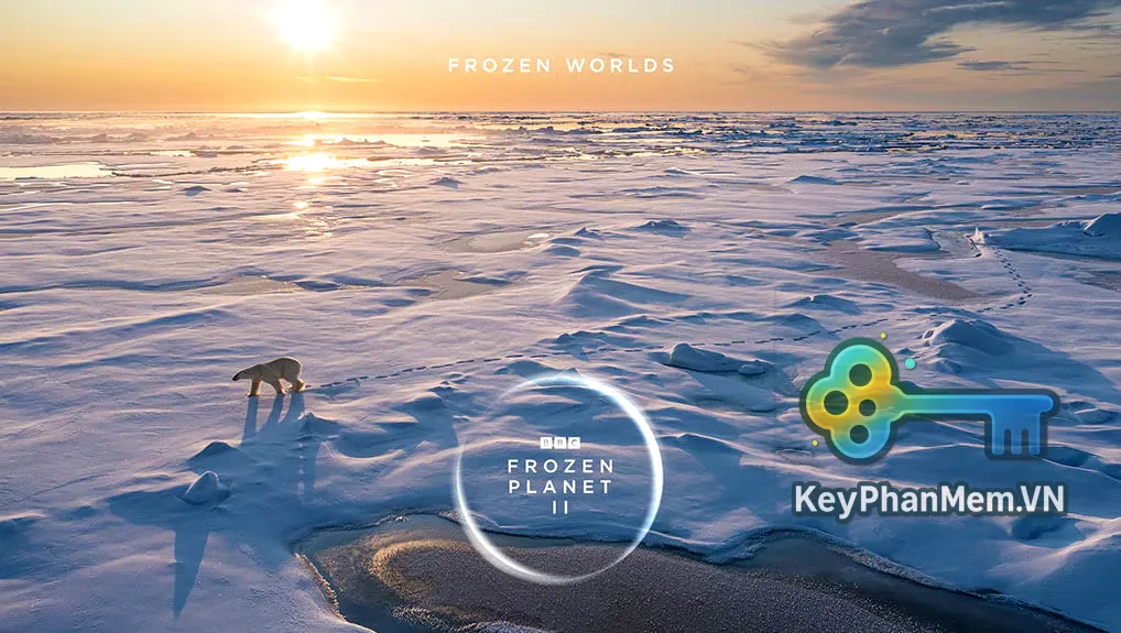 Phim-BBC-Frozen-Planet-II-2022-1080p-KeyPhanMem.VN.webp