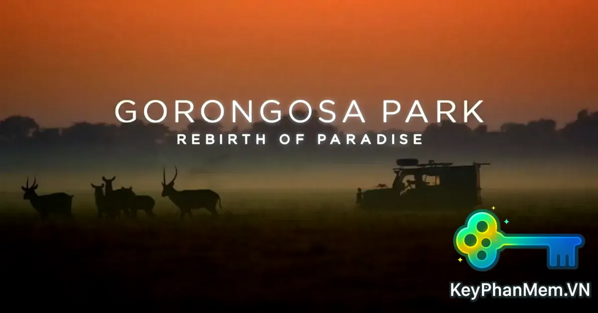 Phim-PBS.Gorongosa.Park.Rebirth.Of.Paradise.2015.ViE.1080p-KeyPhanMem.VN.webp
