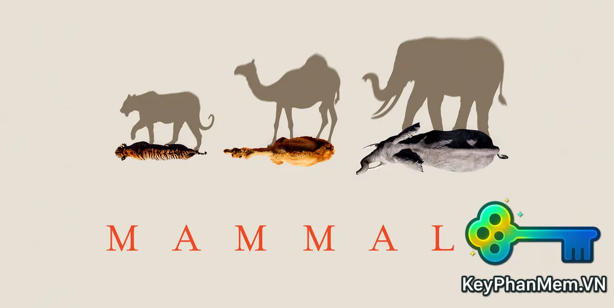 Phim-Planet Earth-Mammals-2024-100p-ViE.webp
