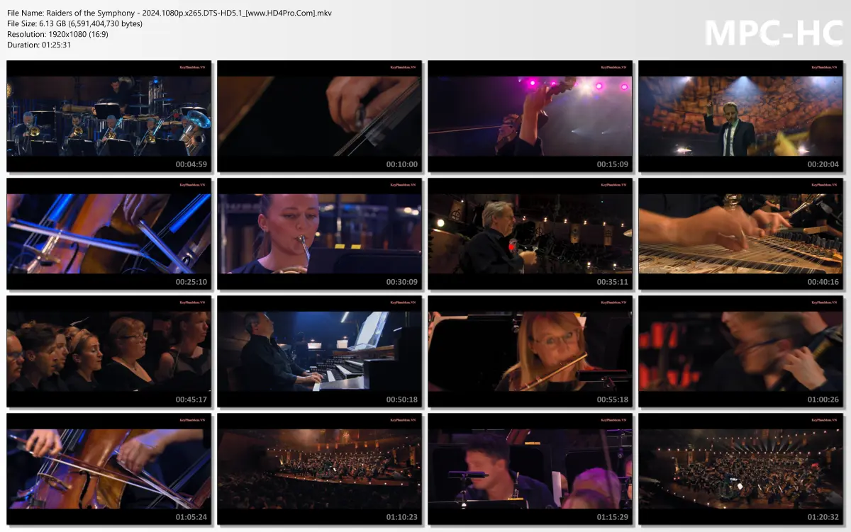 Raiders of the Symphony - 2024.1080p.x265.DTS-HD5.1_[www.HD4Pro.Com].mkv_thumbs.webp