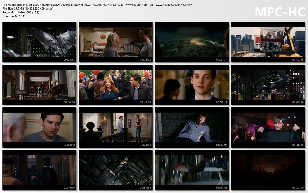Spider-Man.3.2007.4K.Remaster.ViE.1080p.BluRay.REMUX.AVC.DTS-HD.MA.5.1-c0kE_[www.HDVietNam.To...webp