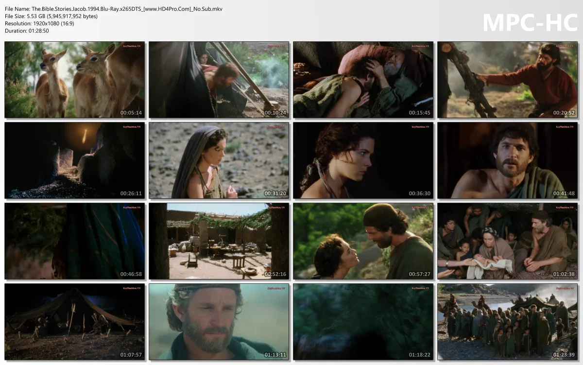 The.Bible.Stories.Jacob.1994.Blu-Ray.x265DTS_[www.HD4Pro.Com]_No.Sub.mkv_thumbs.webp