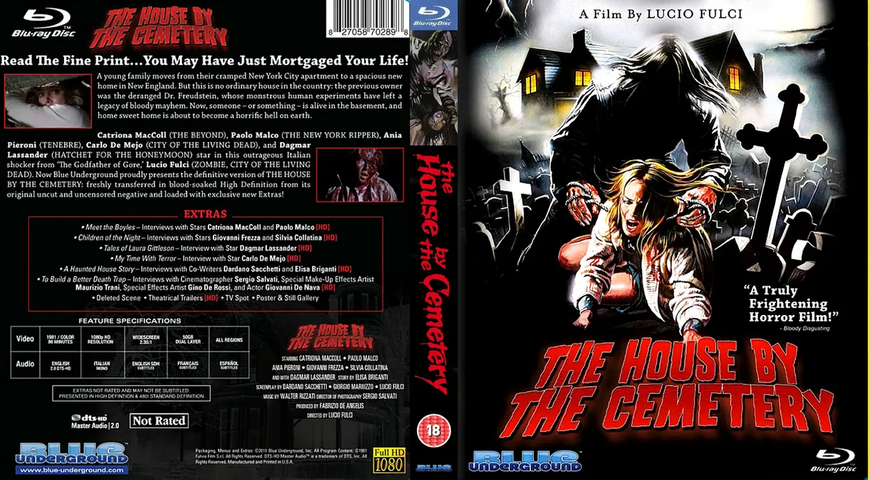 The House by the Cemetery (1981).webp
