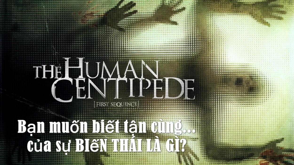 The Human Centipede (2009) 1080p.webp
