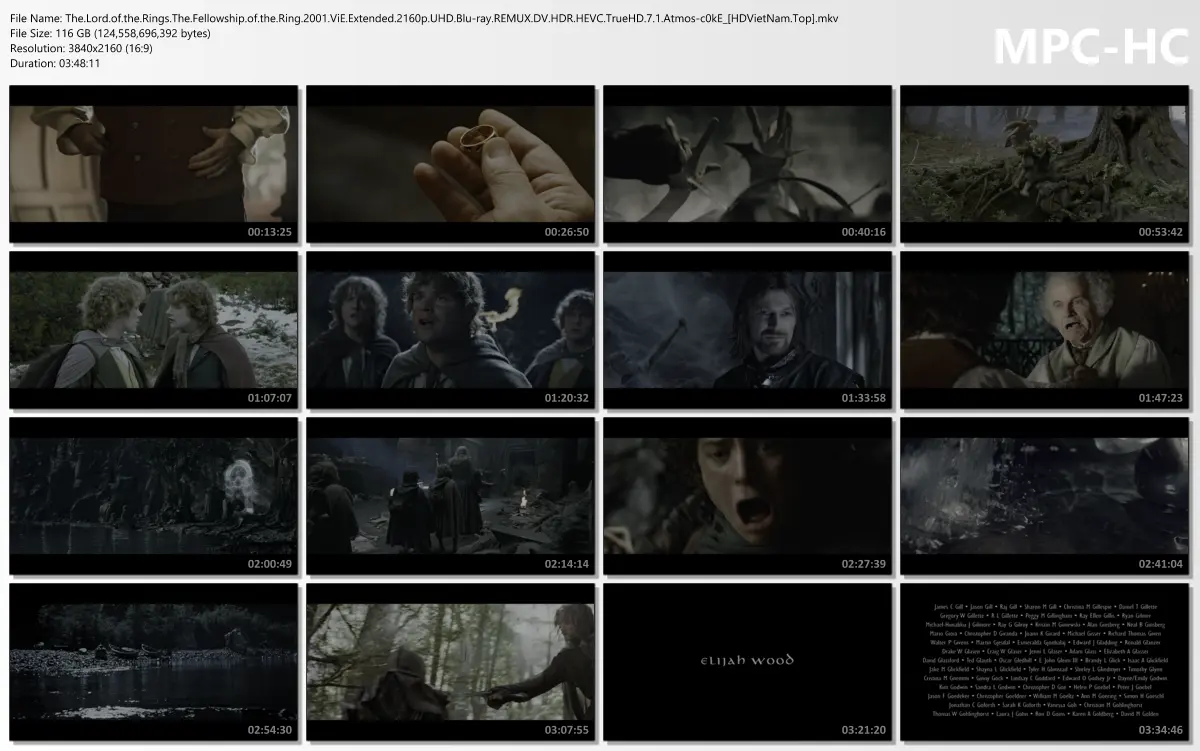 The.Lord.of.the.Rings.The.Fellowship.of.the.Ring.2001.ViE.Extended.2160p.UHD.Blu-ray.REMUX.DV...webp