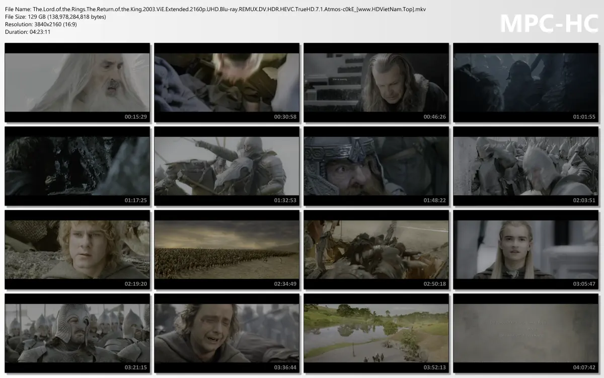 The.Lord.of.the.Rings.The.Return.of.the.King.2003.ViE.Extended.2160p.UHD.Blu-ray.REMUX.DV.HDR...webp
