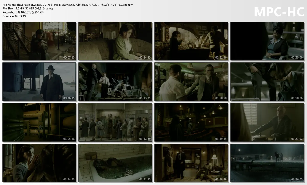 The.Shape.of.Water.(2017).2160p.BluRay.x265.10bit.HDR AAC.5.1._Phụ.đề_HD4Pro.Com.mkv_thumbs.webp