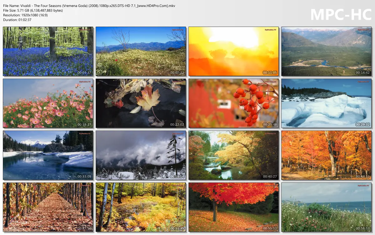 Vivaldi - The Four Seasons (Vremena Goda) (2008).1080p.x265.DTS-HD 7.1_[www.HD4Pro.Com].mkv_t...webp