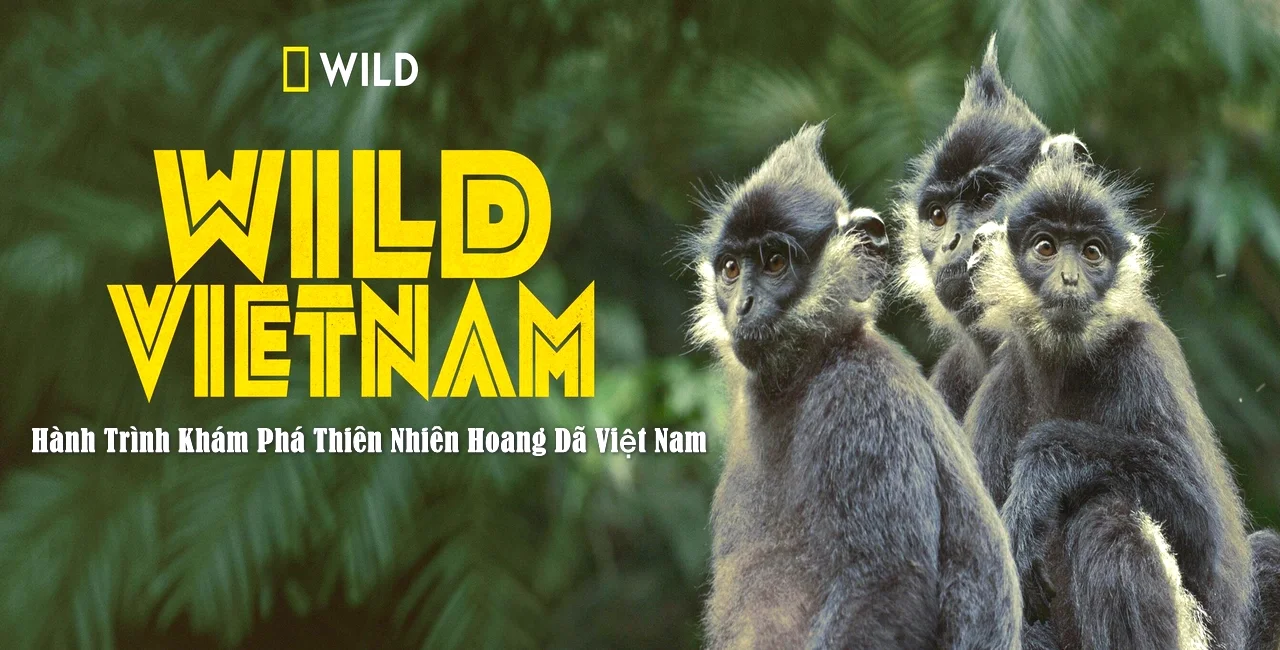 Wild-Vietnam-2024-2160p-Web-DL-KeyPhanMem.VN.webp