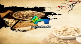 Sach-Y-Hoc-Co-Truyen-Trung-Quoc-KeyPhanMem.VN.webp
