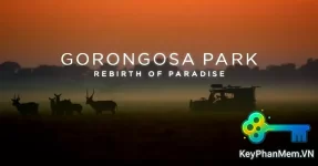 Phim-PBS.Gorongosa.Park.Rebirth.Of.Paradise.2015.ViE.1080p-KeyPhanMem.VN.webp