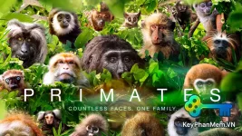Primates-2020-1080p-VIE-KeyPhanMem.VN.webp