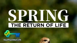 Spring-The-Return-of-Life-2014-ViE-HDVietNam.Top.webp