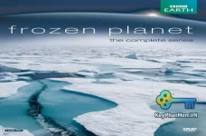 Phim-BBC-Frozen-Planet-2011-1080p-ViE-KeyPhanMem.VN.webp