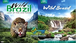 Phim- BBC-Earth-Wild-Brazil-1080p-ViE-KeyPhanMem.VN.webp