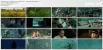 Warriors.of.the.Rainbow - Seediq.Bale - Part 1 - The.Sun.Flag.(2011).1080p.mkv_thumbs.webp