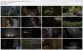 Wrong.Turn.2003.[1080p].BluRay.x264_Phụ.đề.Việt_[www.HD4Pro.Com.mkv_thumbs.webp